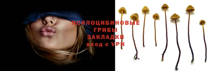 ECSTASY Арсеньев
