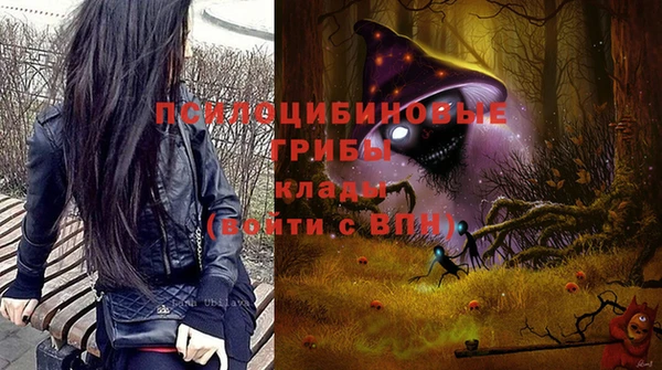 2c-b Балахна