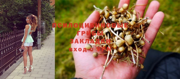 круглые Армянск