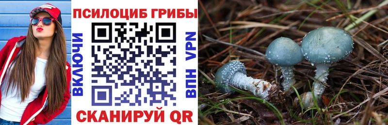 Псилоцибиновые грибы Magic Shrooms  дарнет шоп  Уржум 